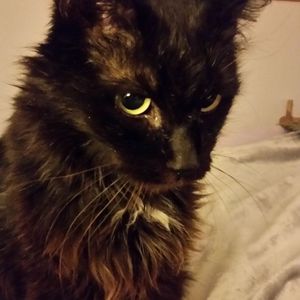 Meet your Posher, Connie